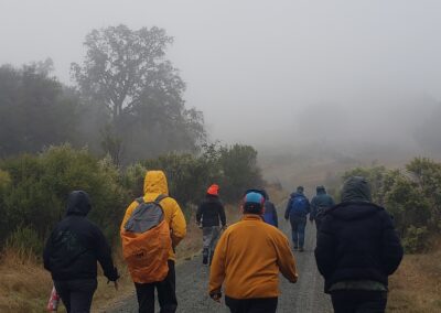 Group of Trans Campers walking on a foggy paved road in chilly weather